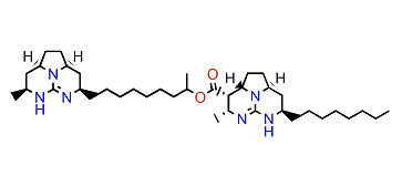 Norbatzelladine L